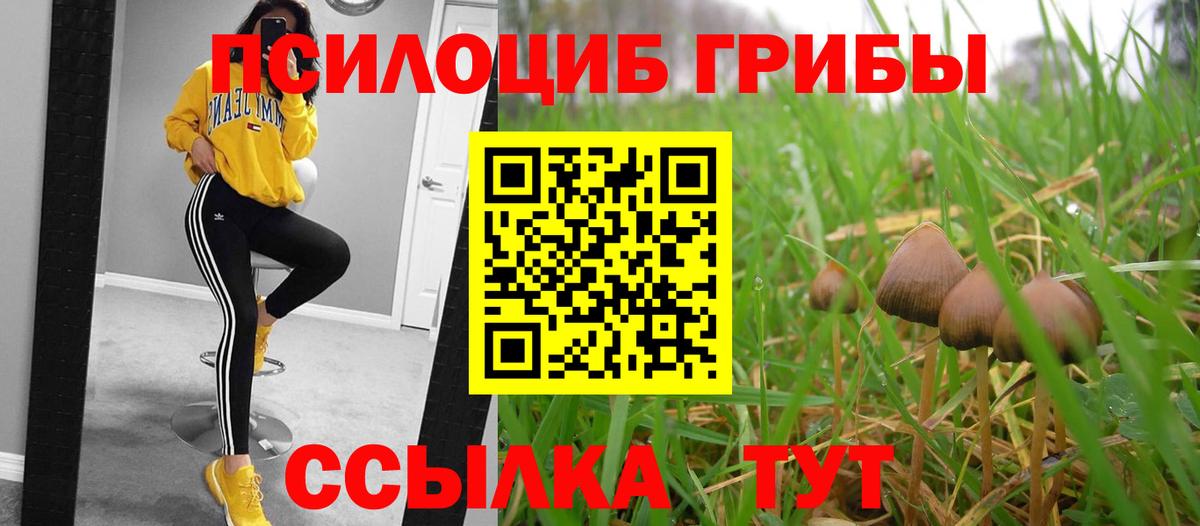 Галлюциногенные грибы MAGIC MUSHROOMS  Канаш 