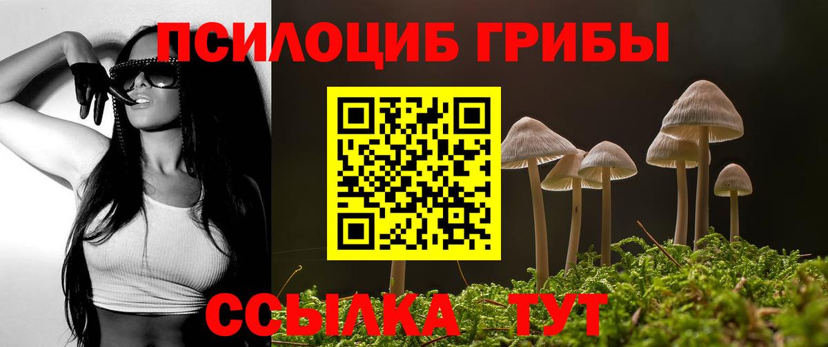 Канаш  Псилоцибиновые грибы Psilocybe  Вход с VPN 