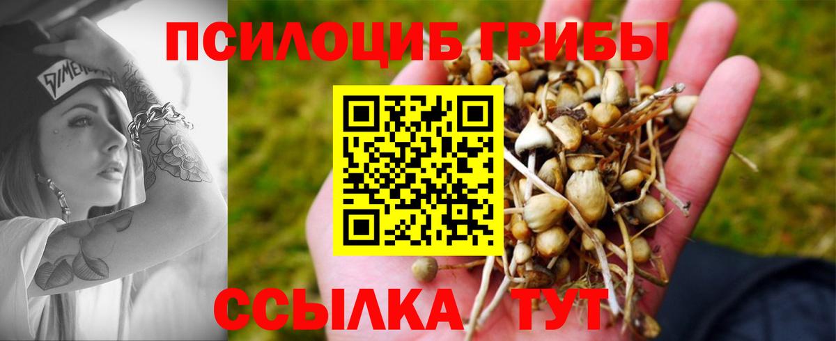 Псилоцибиновые грибы MAGIC MUSHROOMS Канаш
