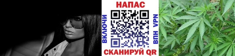 Конопля ГИДРОПОН  Канаш 