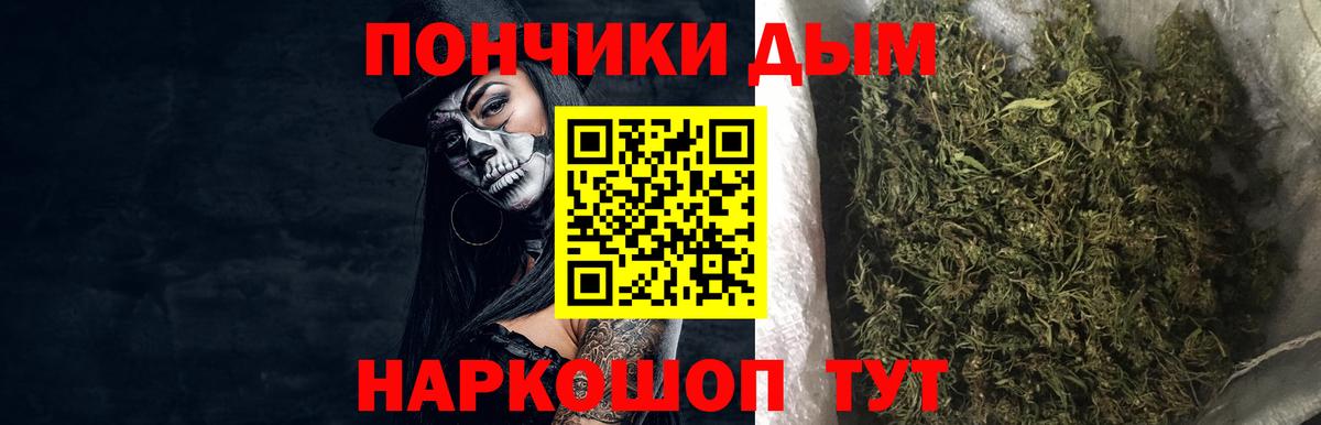 Канабис сатива Канаш